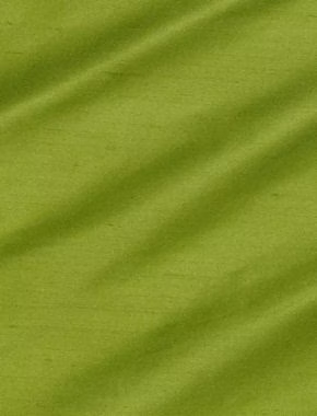 Regal Silk Vol 3 Parakeet fabric