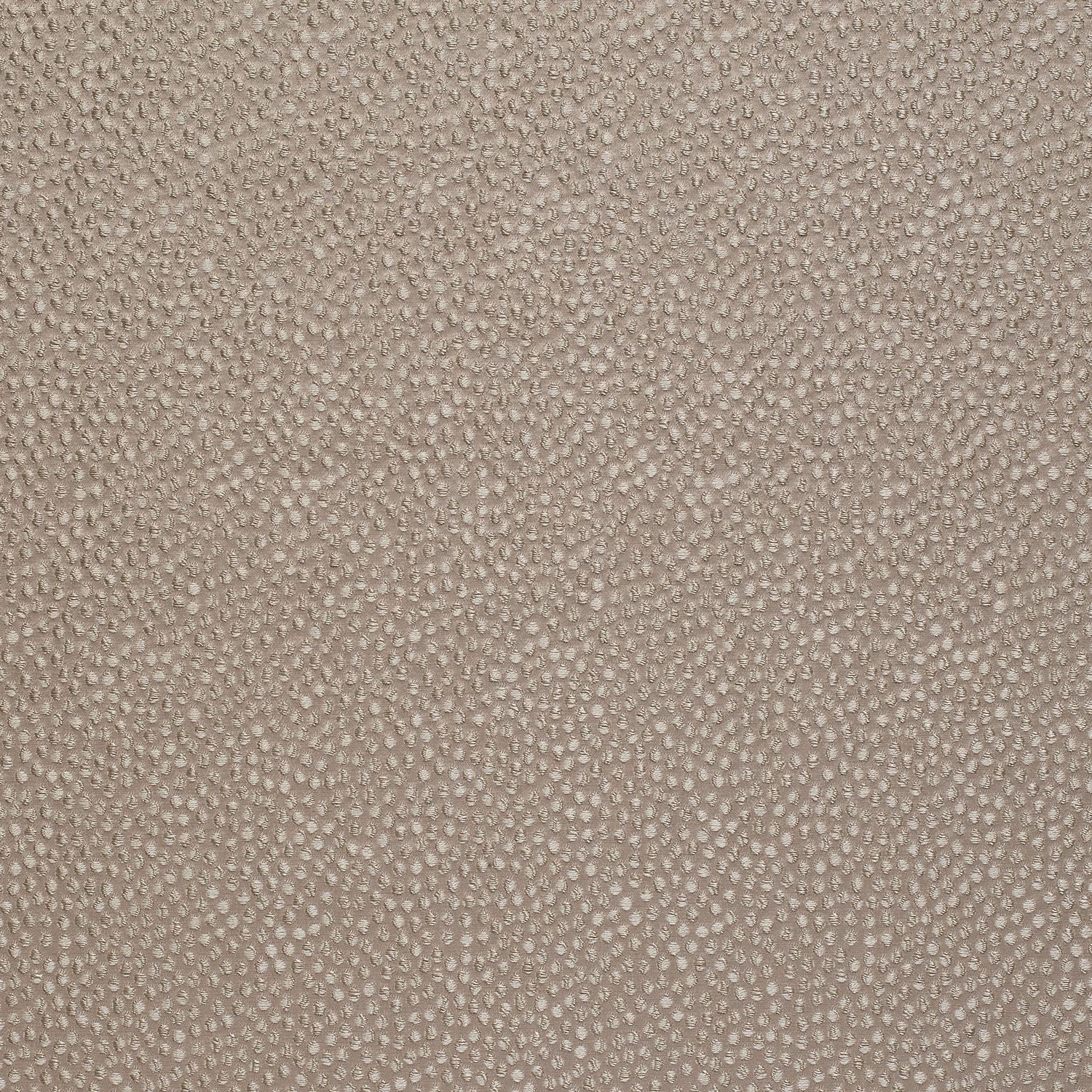Shagreen Silk Cassava fabric