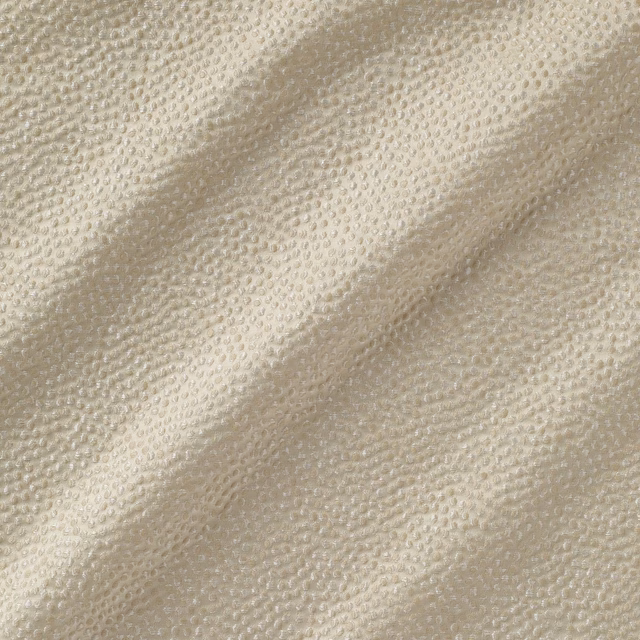 Shagreen Silk Froth fabric