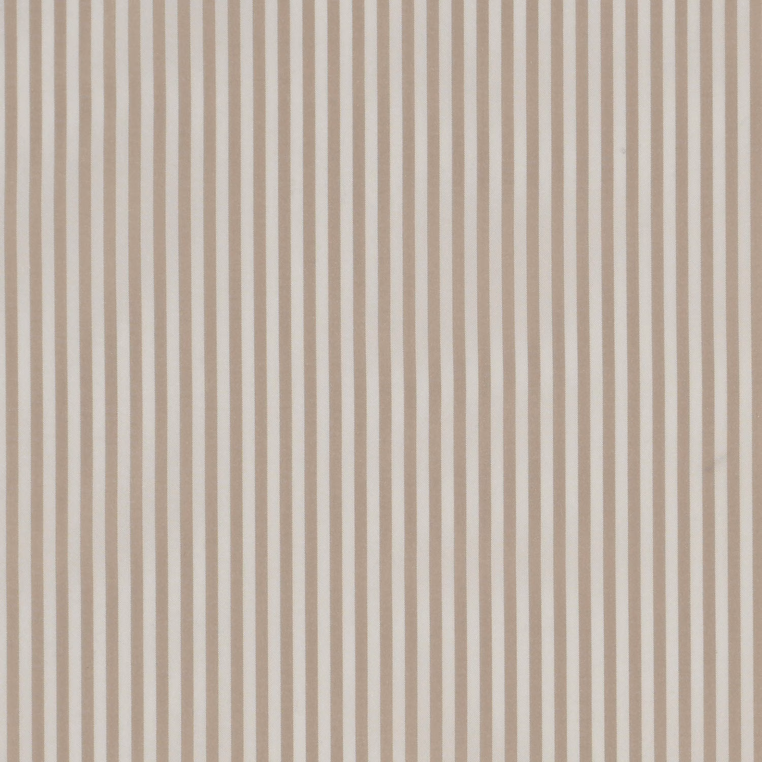 Pinstripe Silk Moth fabric
