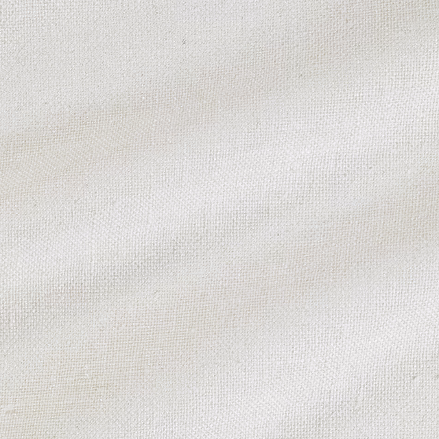 Simla Silk White fabric