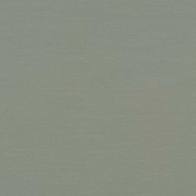 Connaught Silk Wallcovering Alfresco fabric