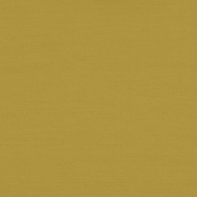 Connaught Silk Wallcovering Corona fabric