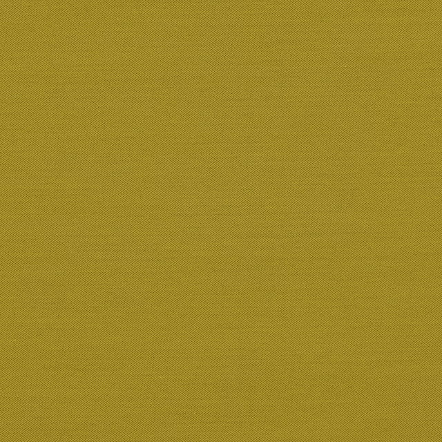 Connaught Silk Wallcovering Glory fabric