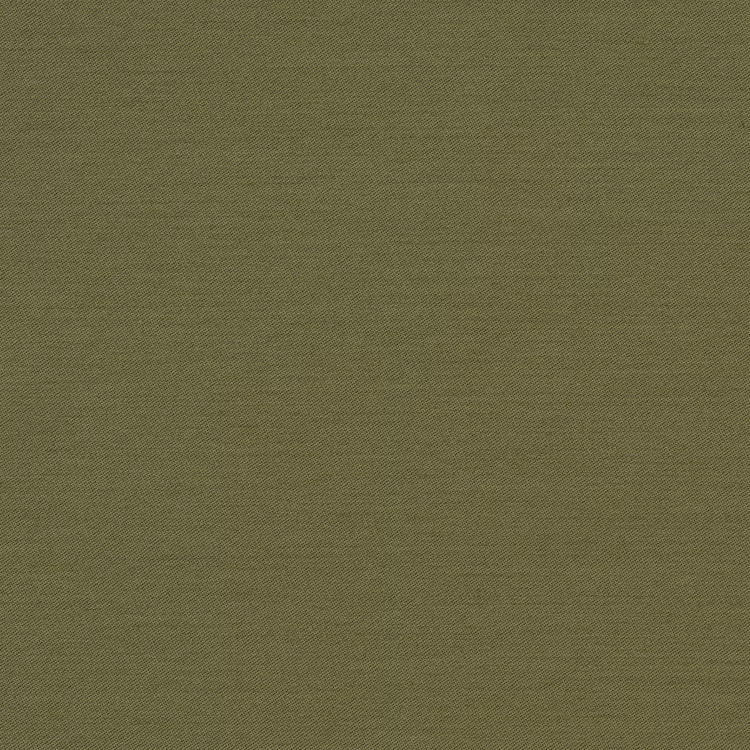 Connaught Silk Wallcovering Samphire fabric