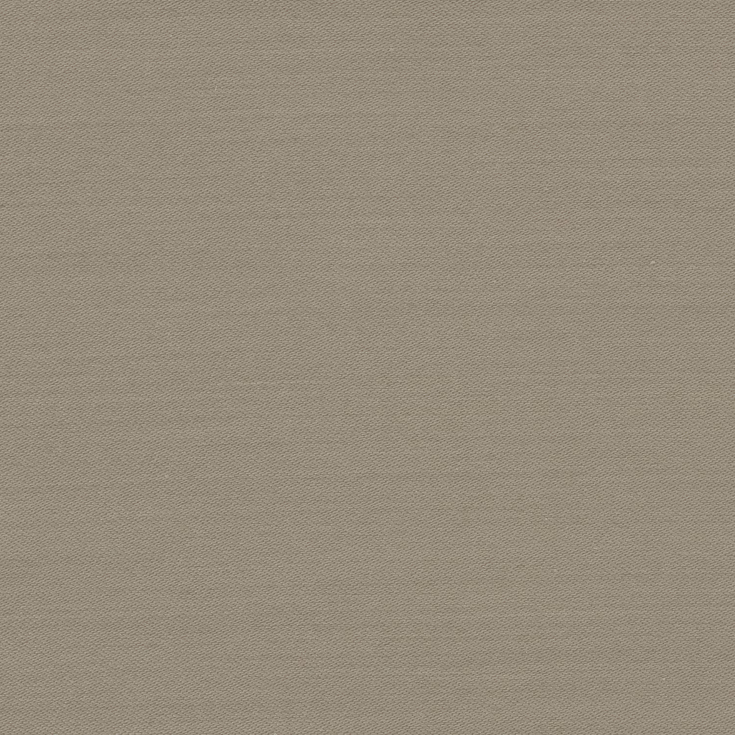 Connaught Silk Wallcovering Sweet Hazel fabric