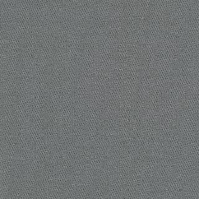 Connaught Silk Wallcovering Vista fabric