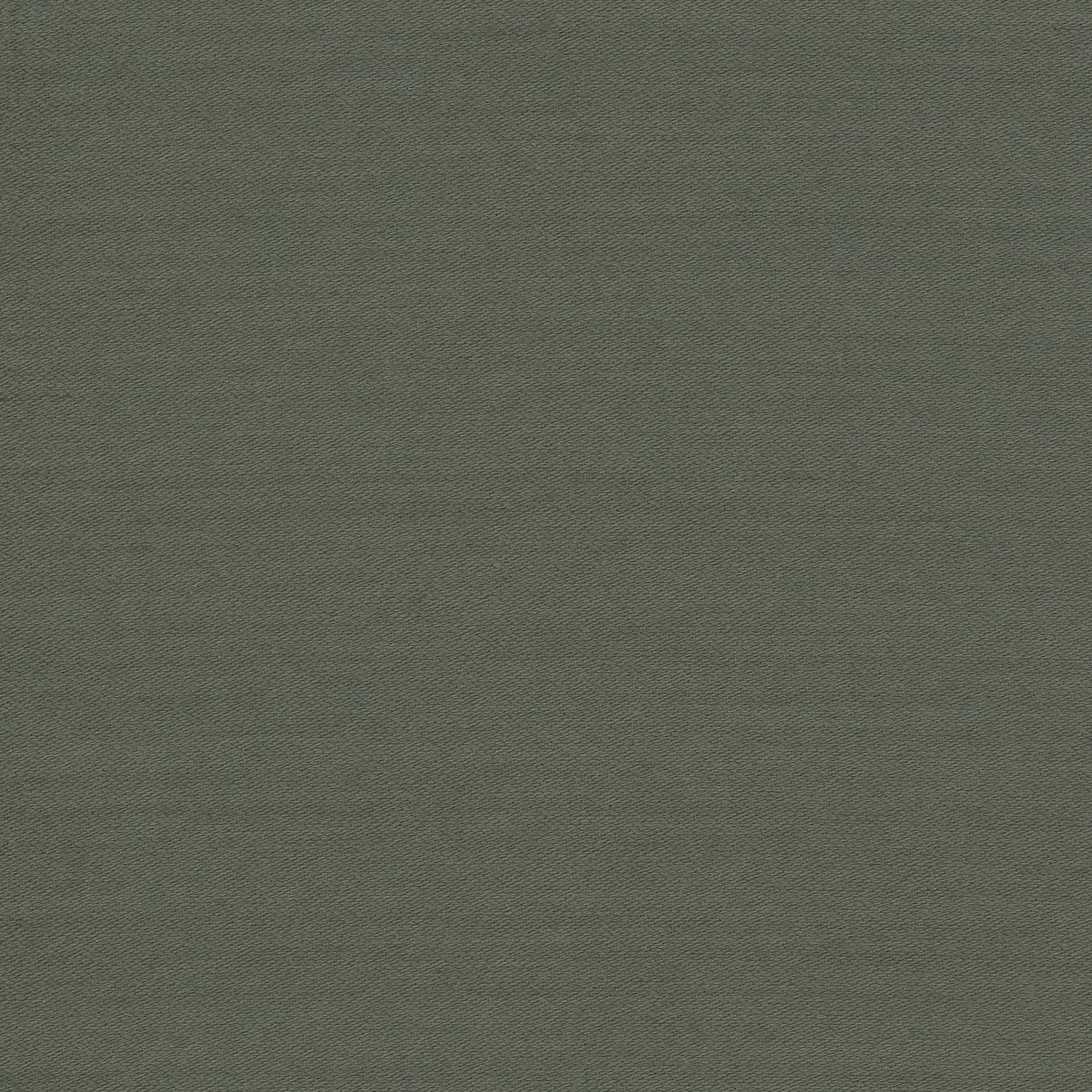 Connaught Silk Wallcovering Watercress fabric