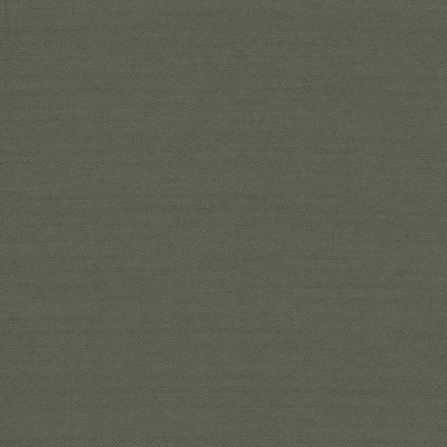 Connaught Silk Wallcovering Watercress fabric