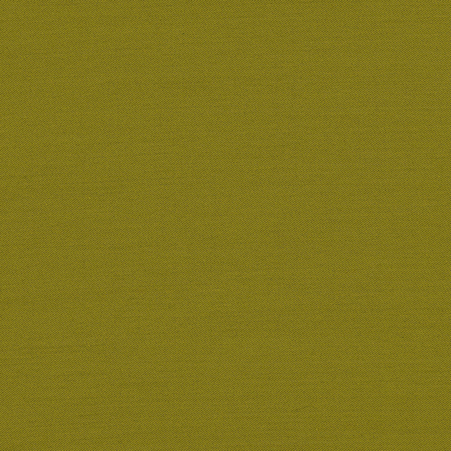 Connaught Silk Wallcovering Wild Fennel fabric