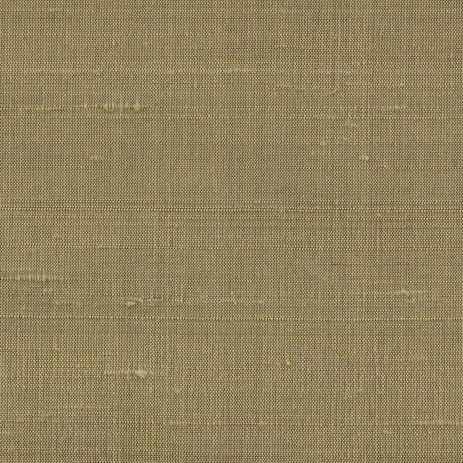 Orissa Silk Wallcovering Acacia fabric