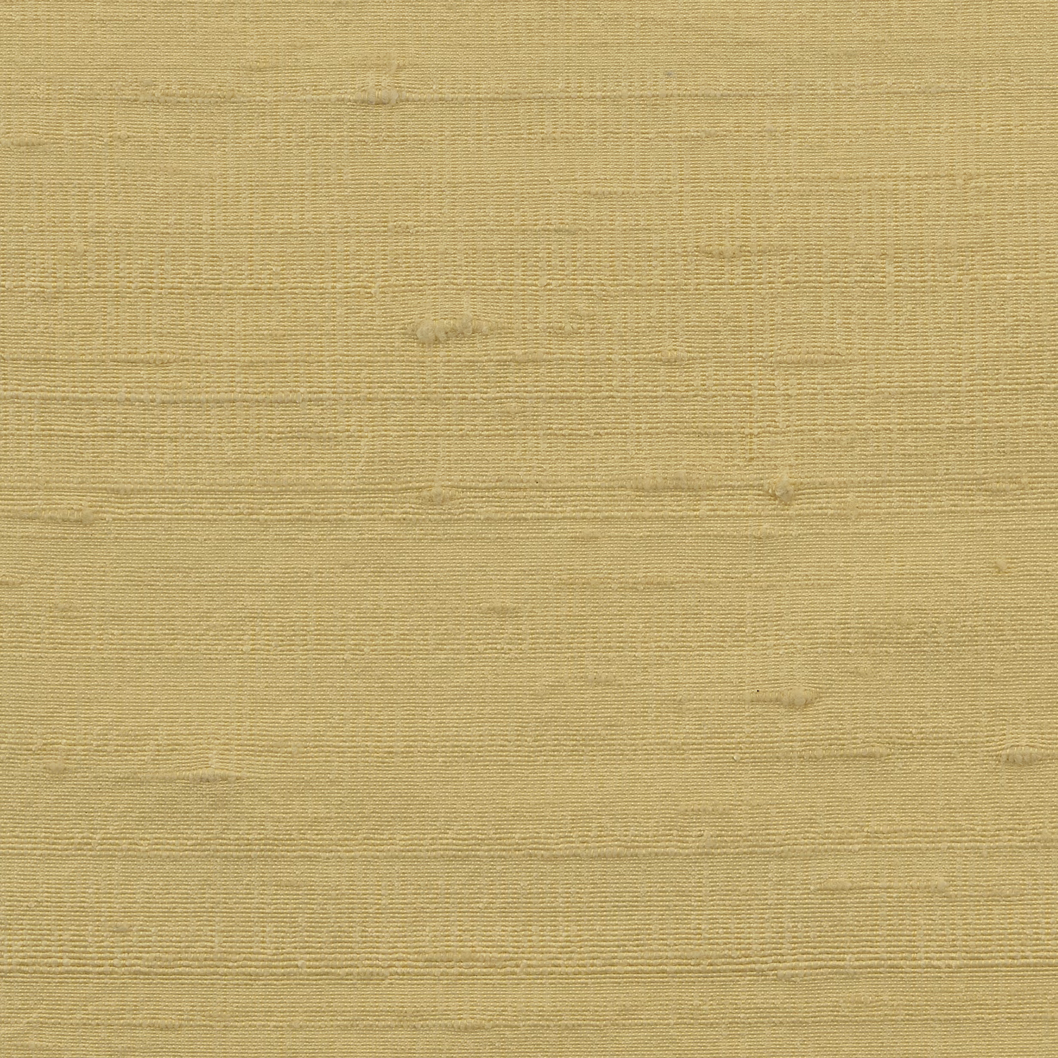Orissa Silk Wallcovering Daffodil fabric