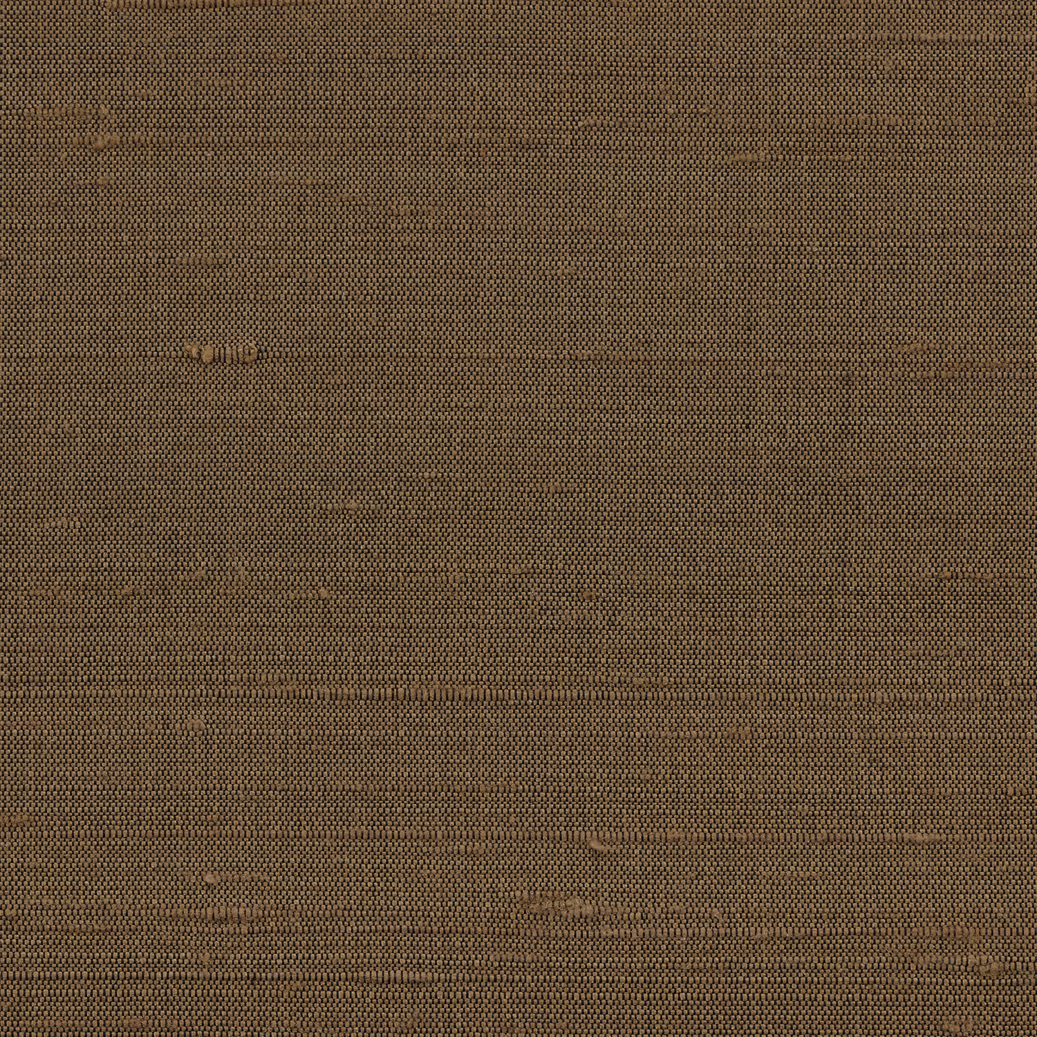 Orissa Silk Wallcovering Fudge fabric