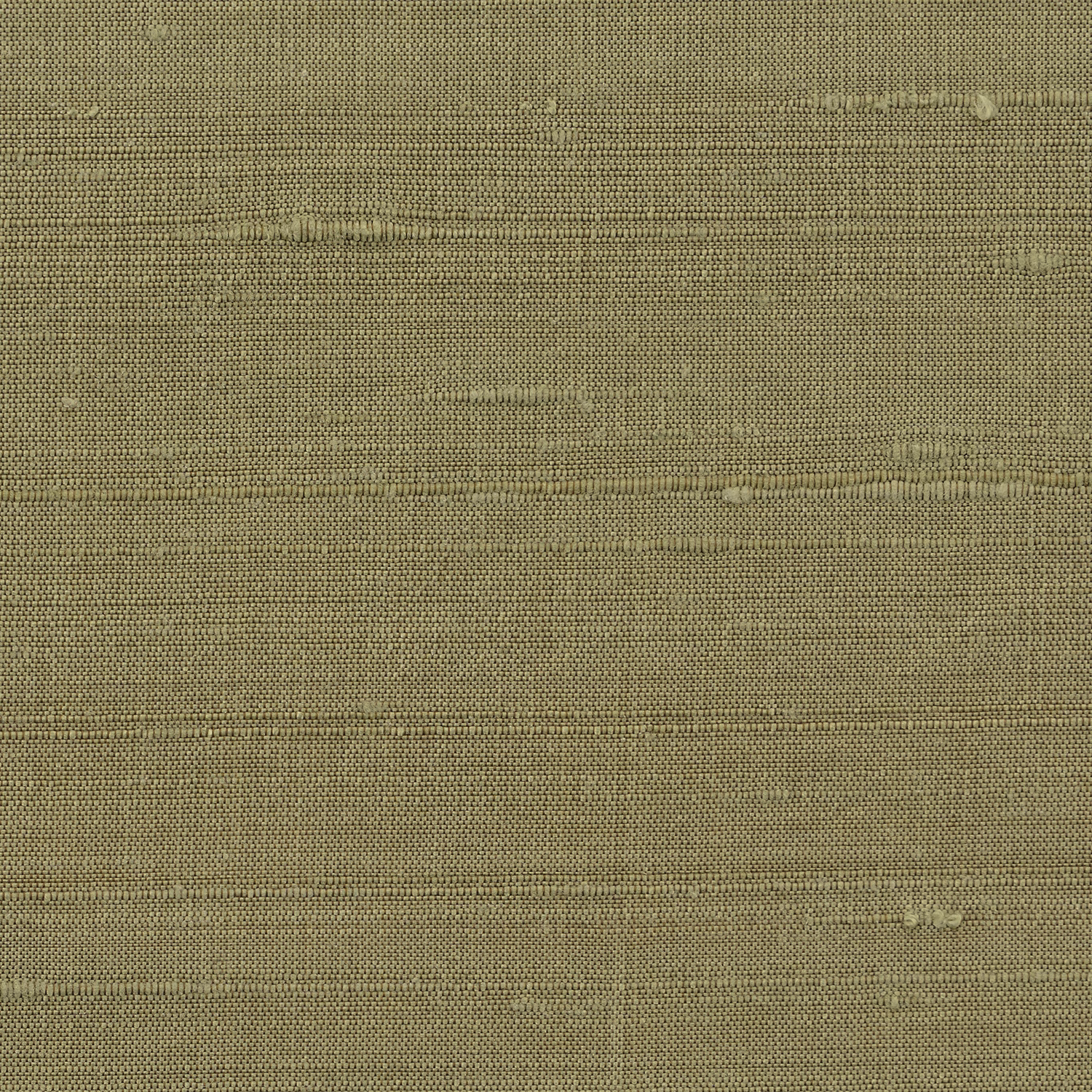 Orissa Silk Wallcovering Green Tea fabric