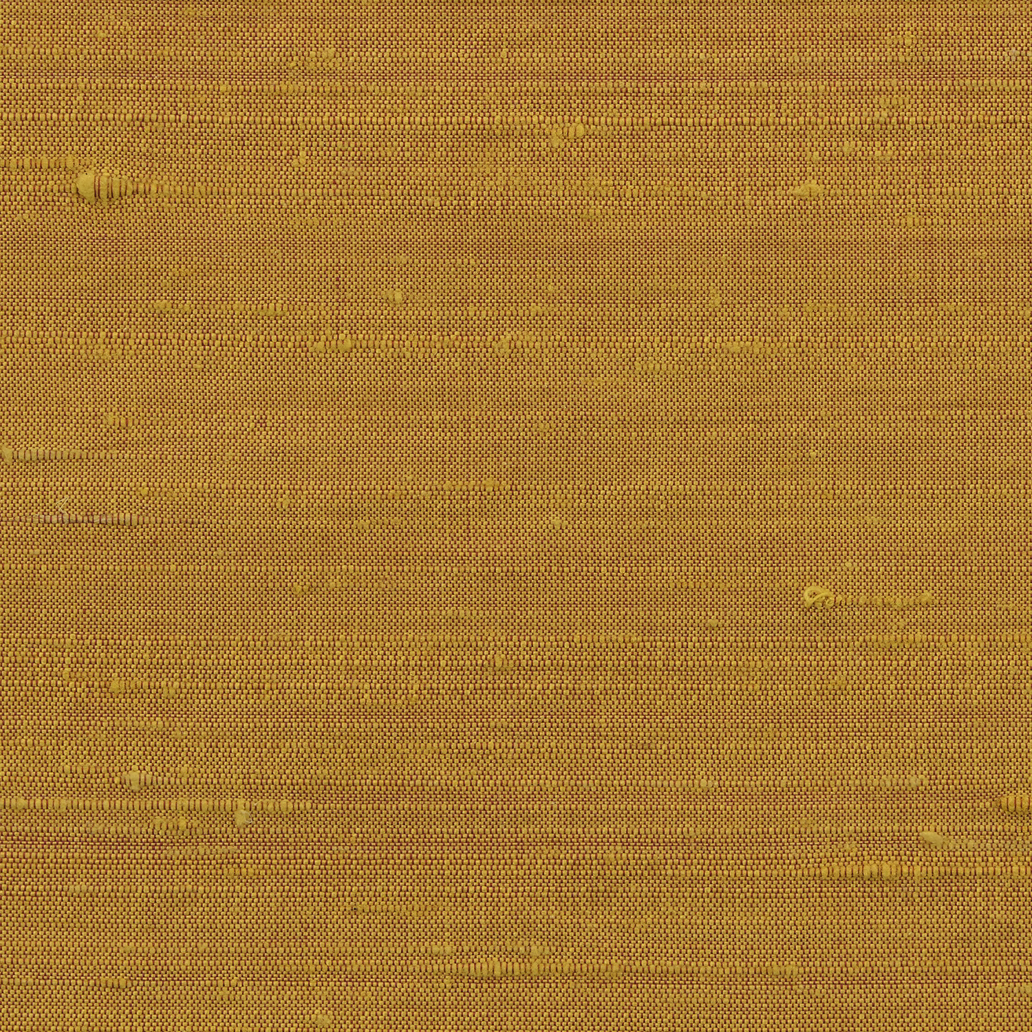 Orissa Silk Wallcovering Honey fabric