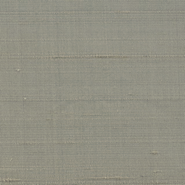 Orissa Silk Wallcovering Horizon fabric