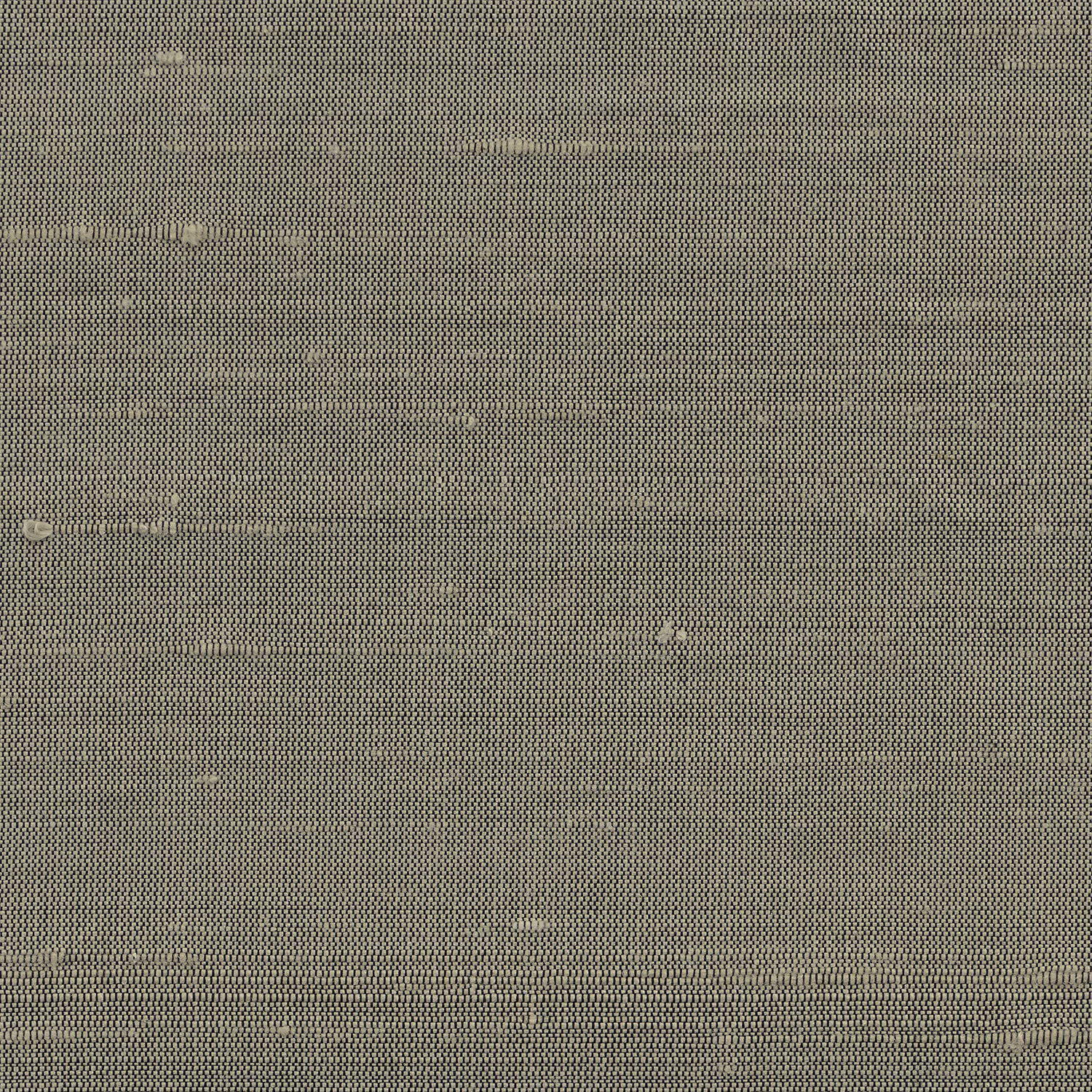 Orissa Silk Wallcovering Silver Birch fabric