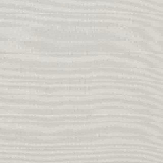 Orissa Silk Wallcovering Smooth Ivory fabric