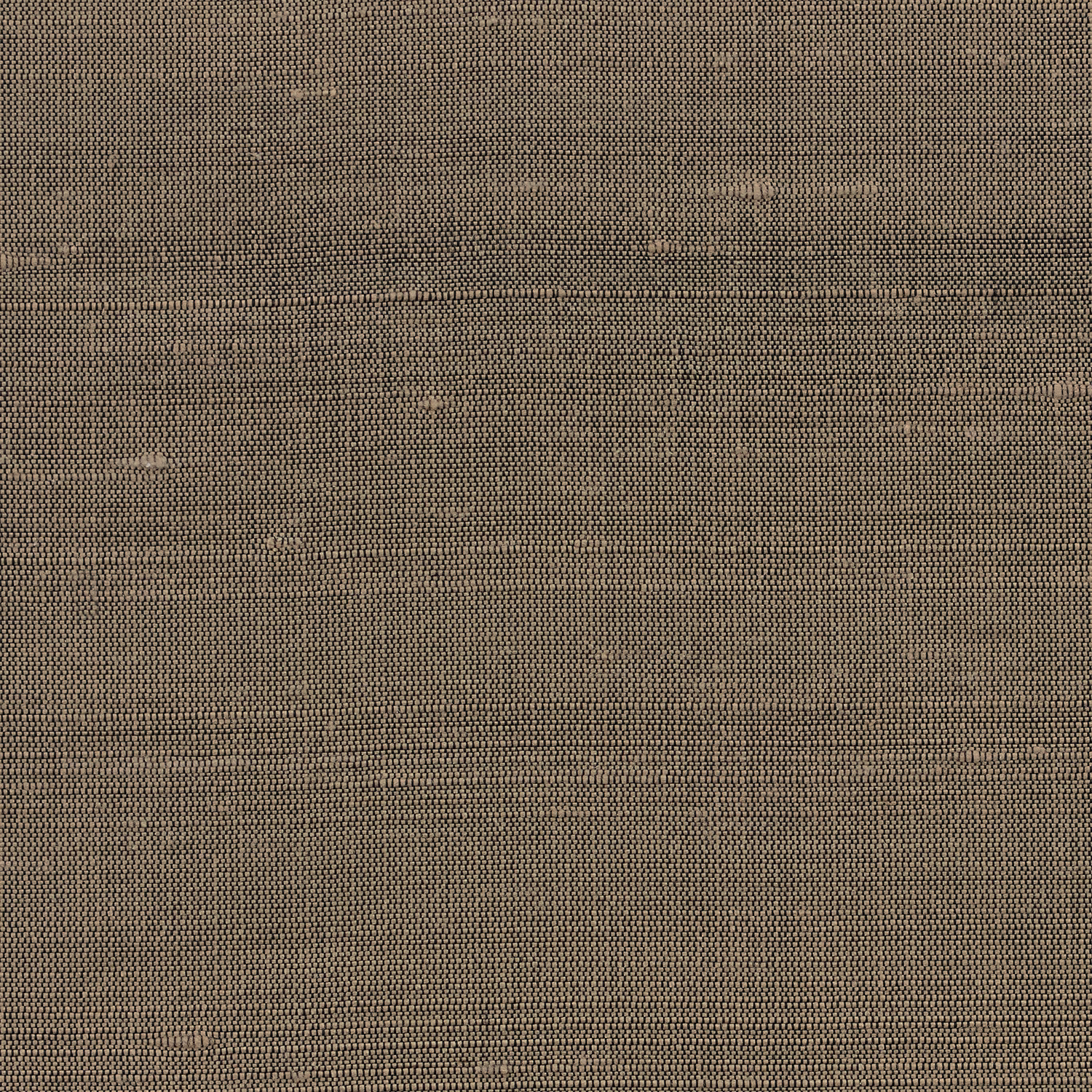Orissa Silk Wallcovering Trout fabric
