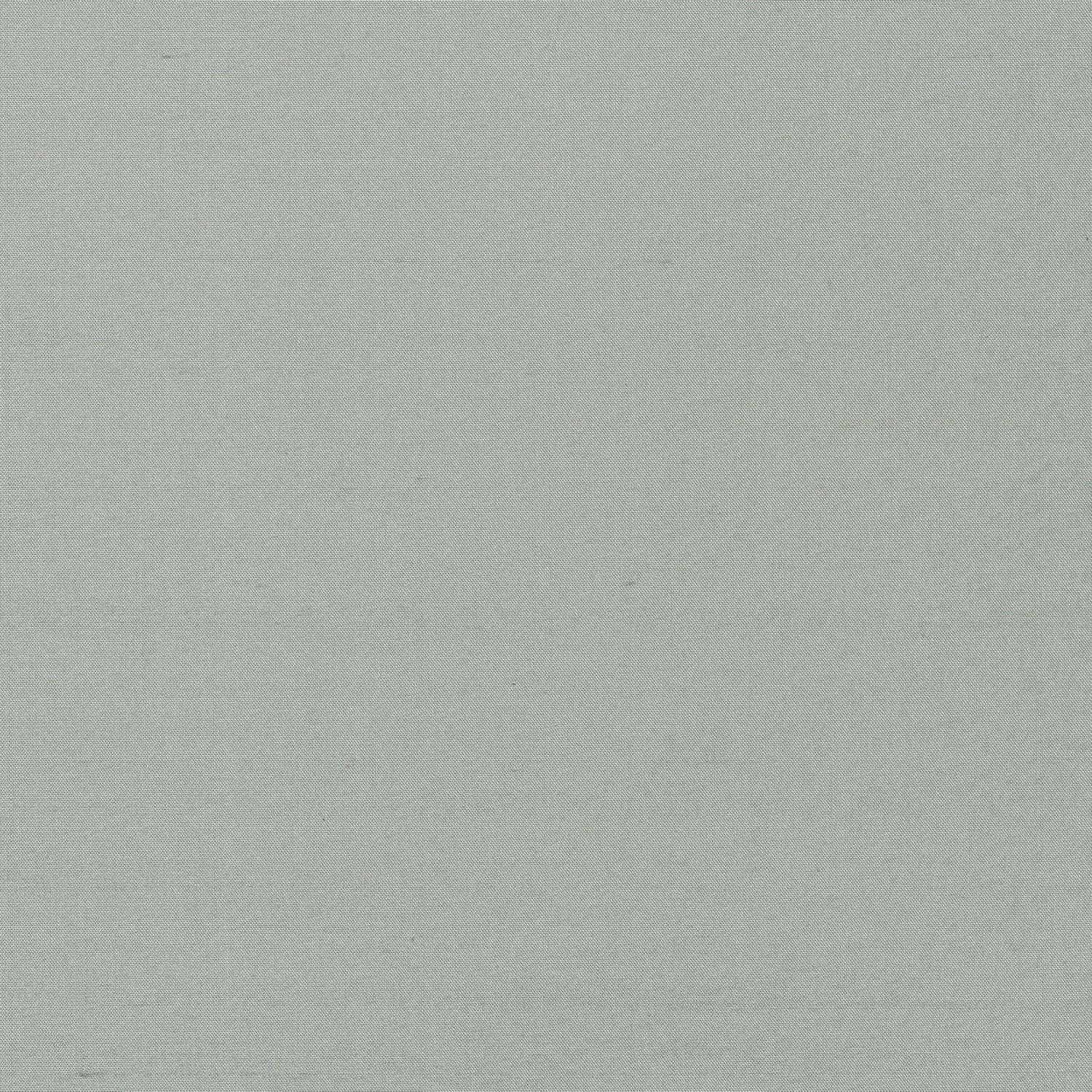 Regal Silk Wallcovering French Grey fabric