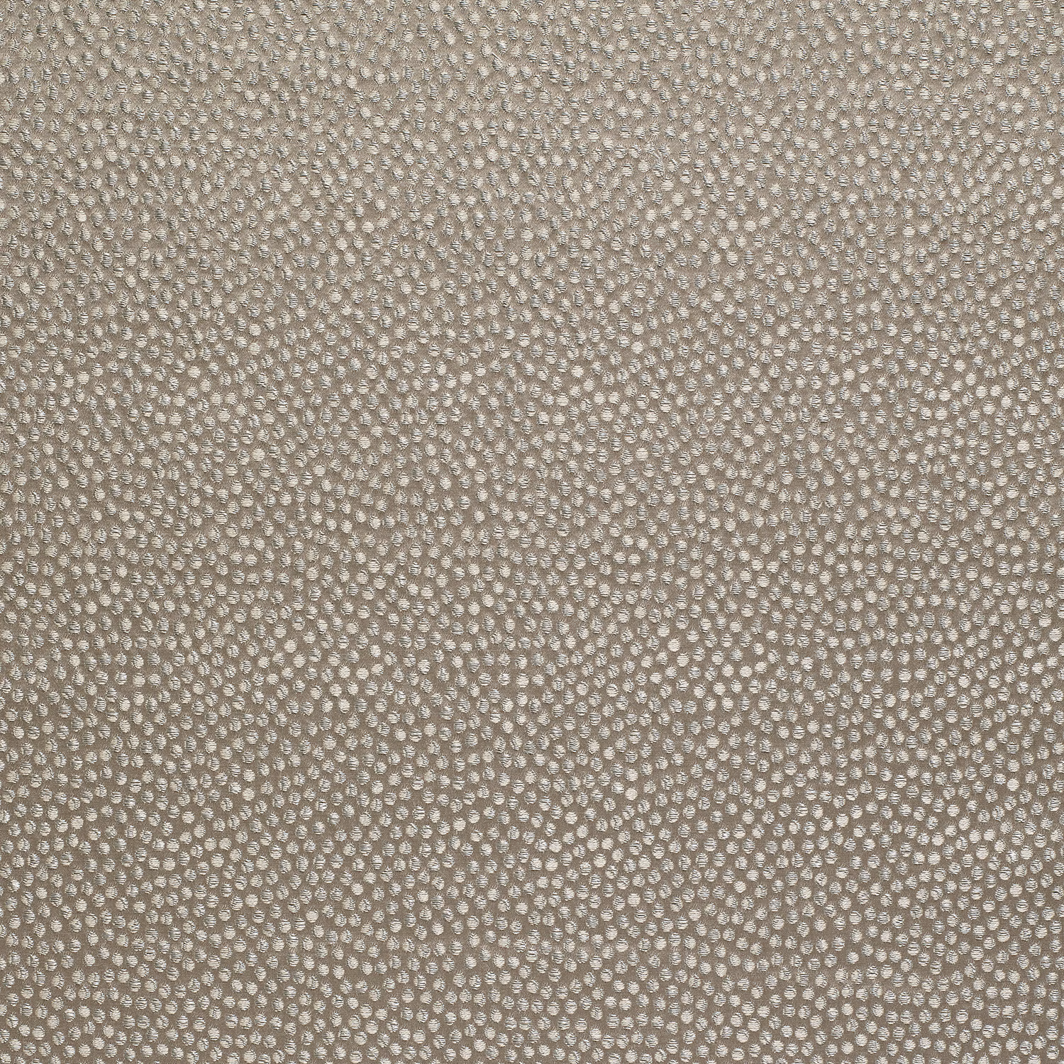 Shagreen Silk Wallcovering Cowrie fabric