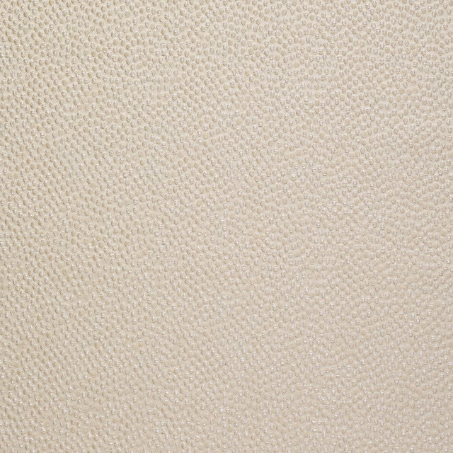 Shagreen Silk Wallcovering Froth fabric