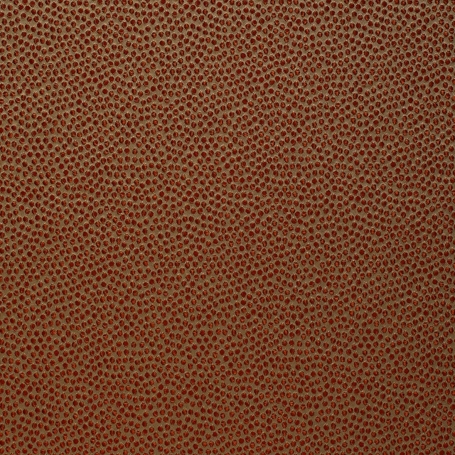Shagreen Silk Wallcovering Kilim fabric