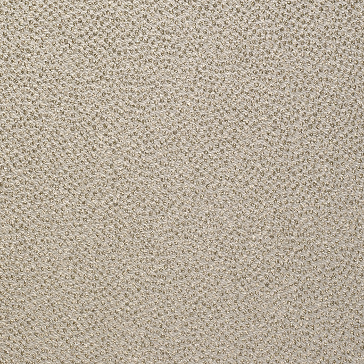 Shagreen Silk Wallcovering Lentil fabric