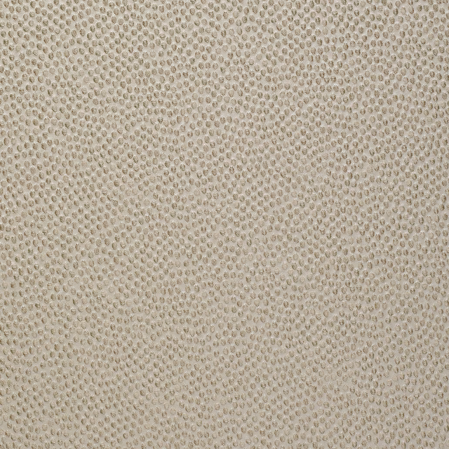 Shagreen Silk Wallcovering Lentil fabric