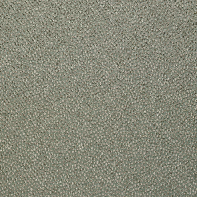 Shagreen Silk Wallcovering Stepping Stone fabric