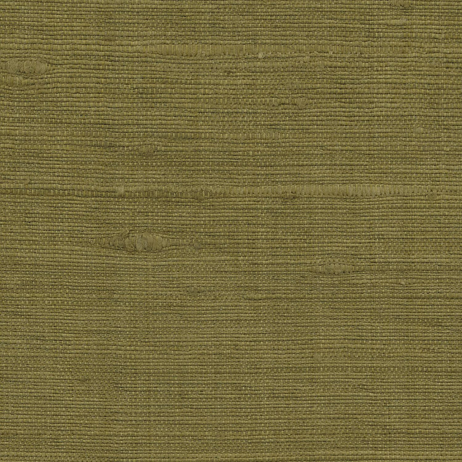 Vienne Silk Wallcovering Asparagus fabric