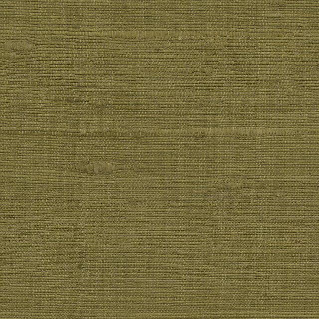 Vienne Silk Wallcovering Asparagus fabric