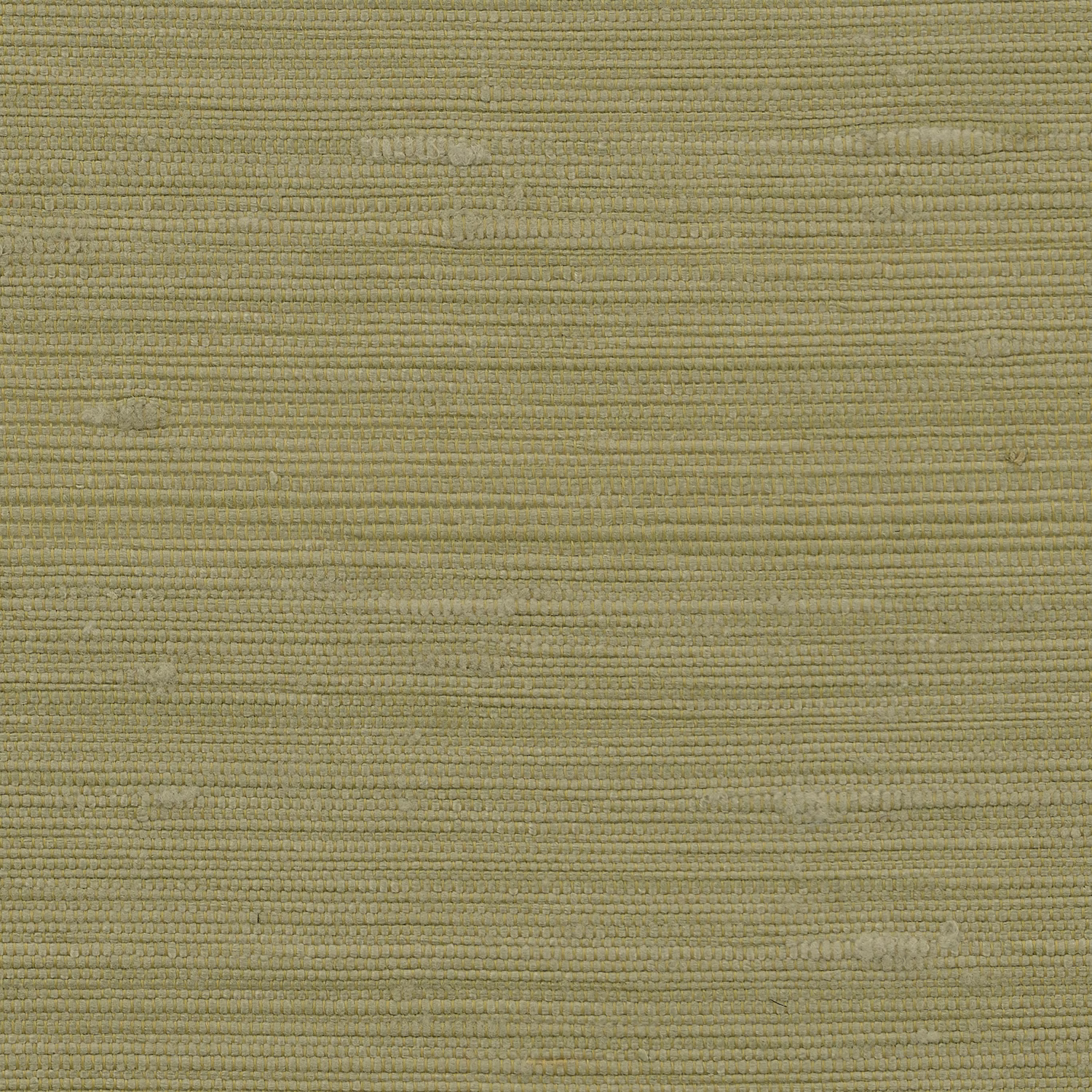 Vienne Silk Wallcovering Cactus fabric