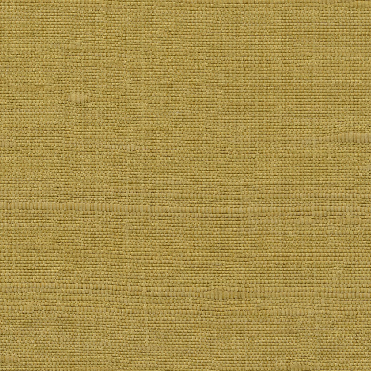 Vienne Silk Wallcovering Citrus fabric