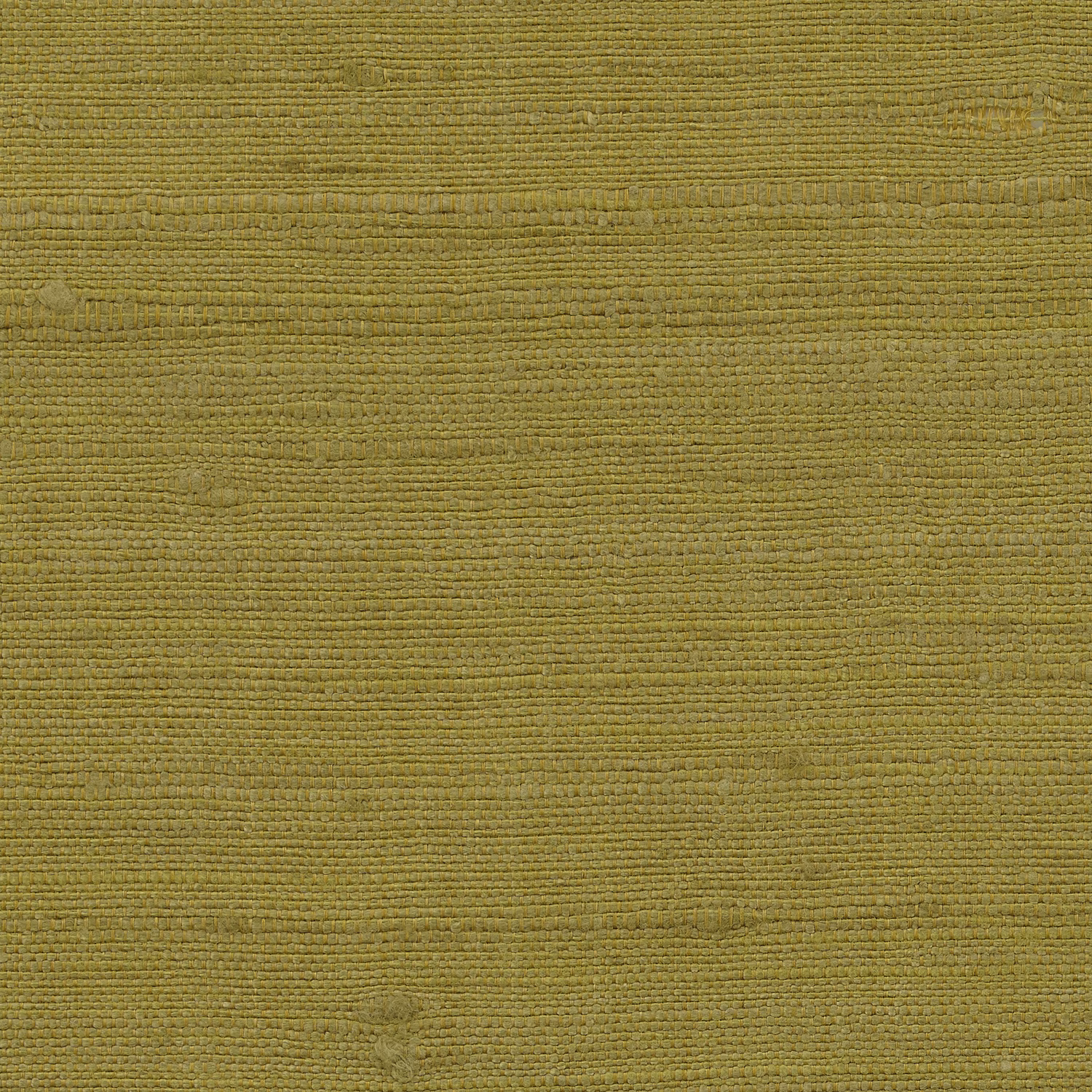 Vienne Silk Wallcovering Lemon-grass fabric