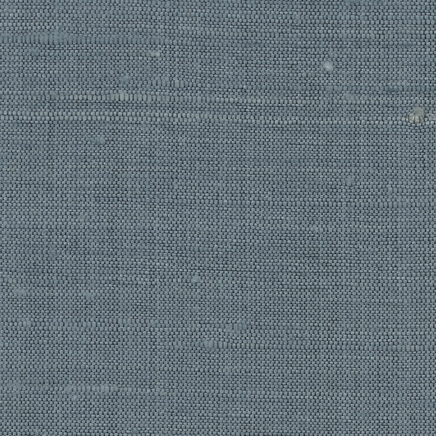 Vienne Silk Wallcovering Swedish Blue fabric