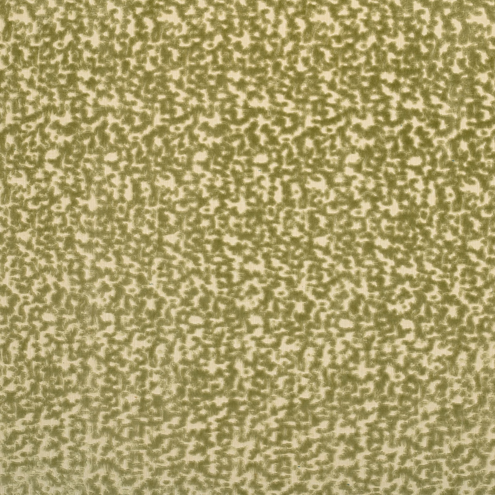 Kizzygo fabric