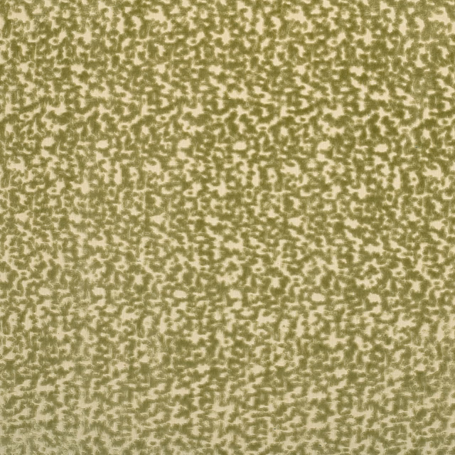 Kizzygo fabric