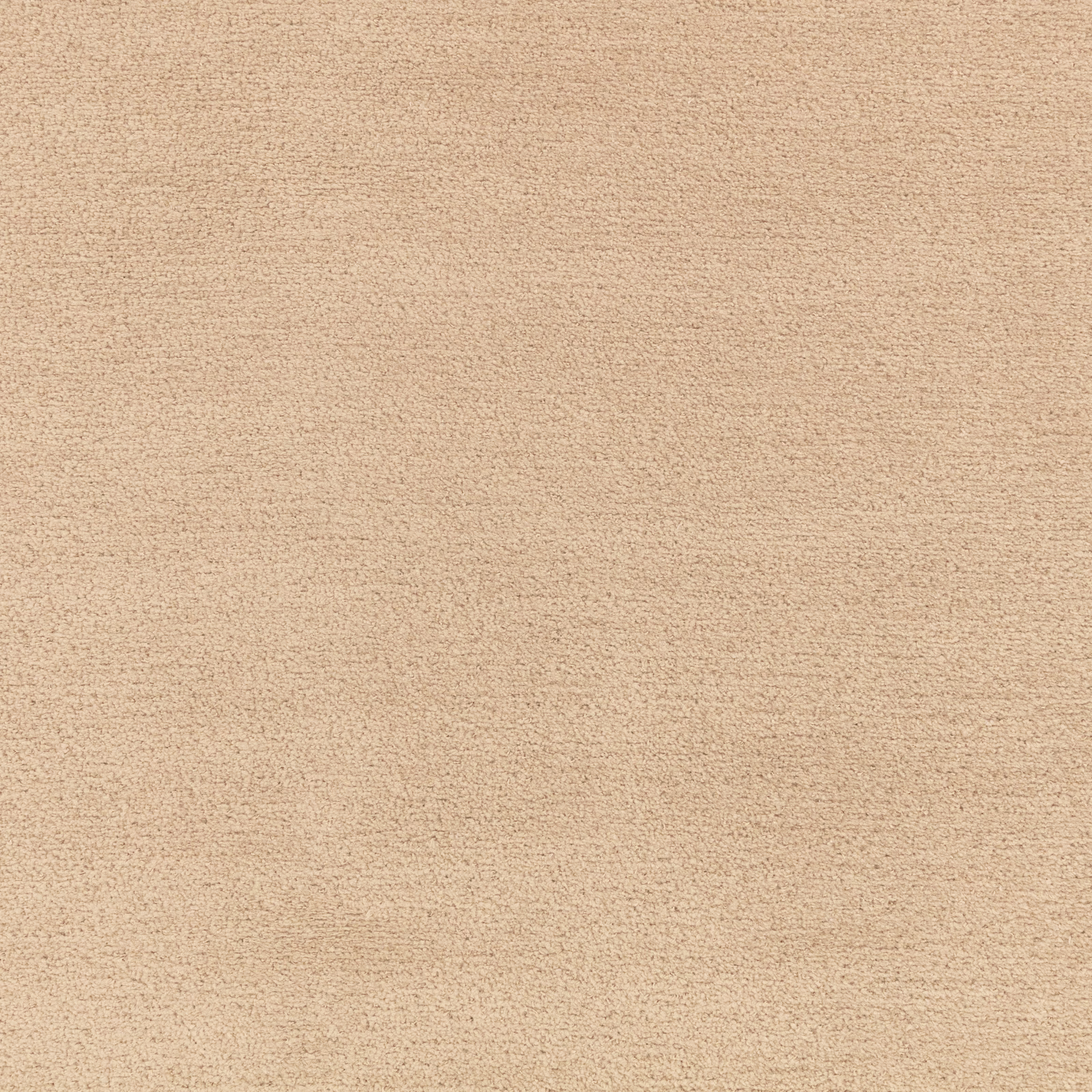 Warm buff-beige plain weave with a fine, softly mottled surface texture