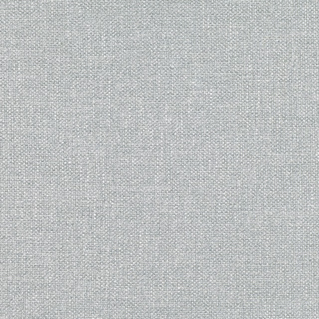 Pale blue-grey Alter Fjord fabric showing a fine, close woven texture