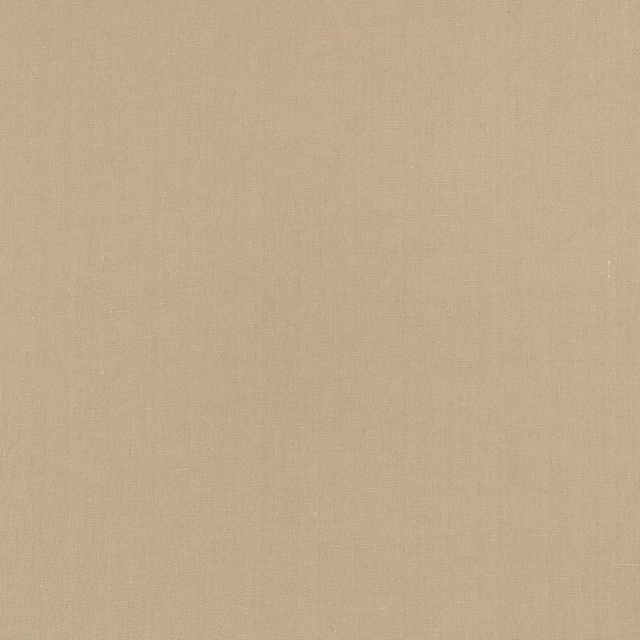 Warm oat-beige plain weave with subtle vertical texture across the swatch