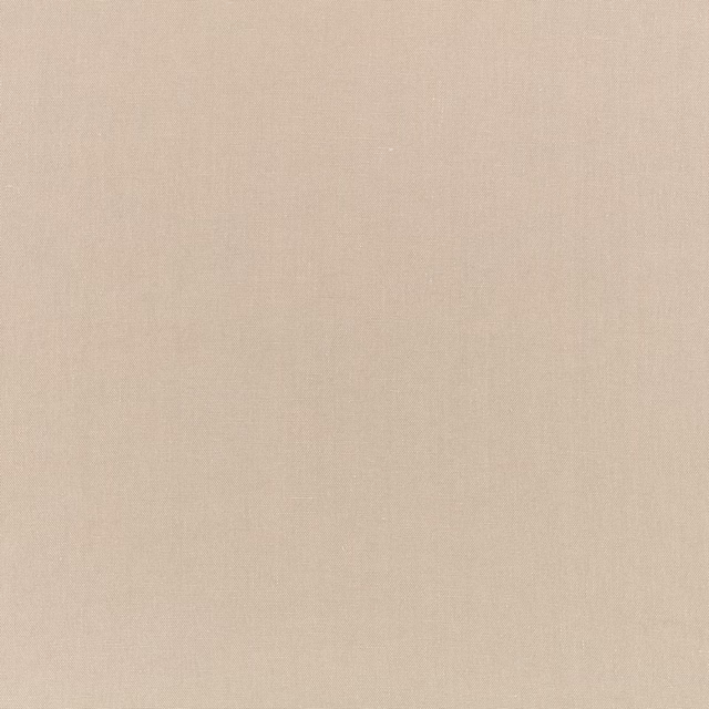 Warm pale beige plain weave with subtle vertical texture and gentle tonal variation