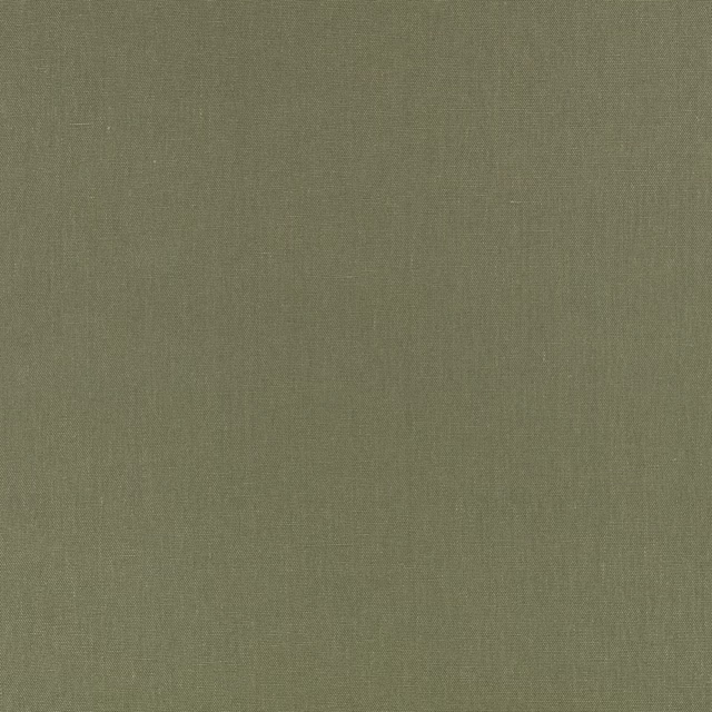 Muted olive-green plain weave with softly mottled, fine woven surface