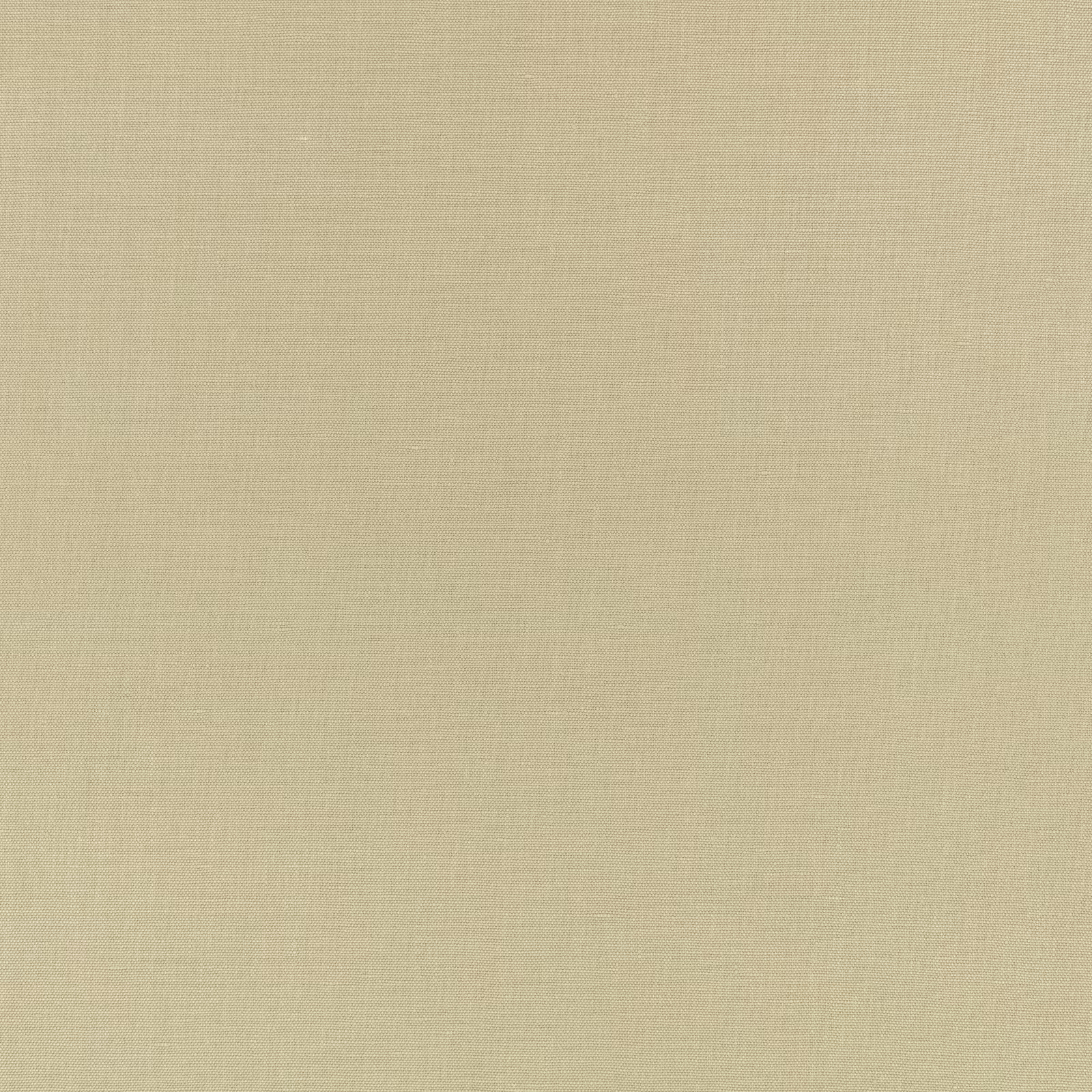 Pale pistachio-green fabric with a fine, softly irregular woven surface