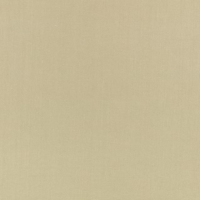 Pale pistachio-green fabric with a fine, softly irregular woven surface