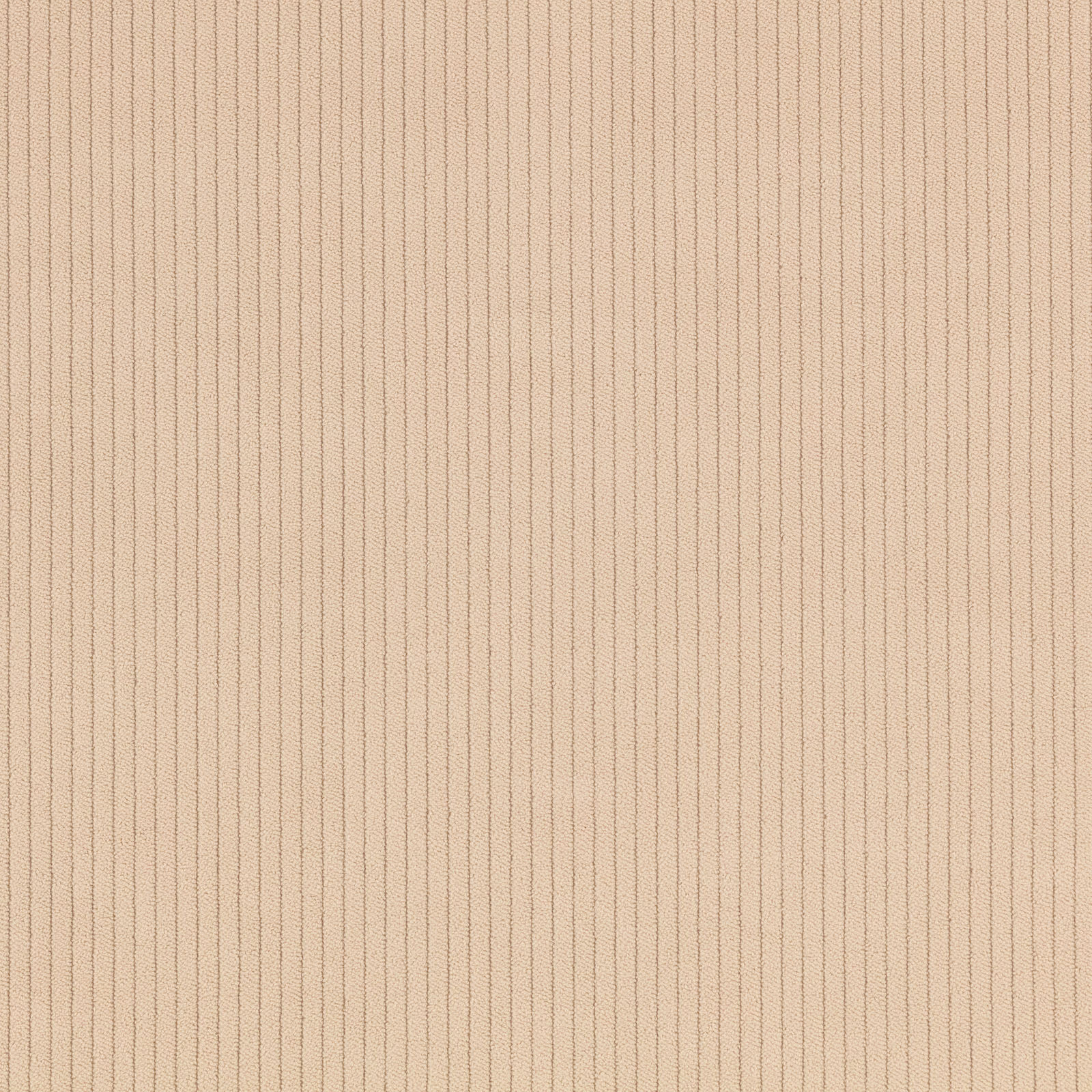 Warm doe-beige corduroy swatch showing fine, closely spaced vertical ribs
