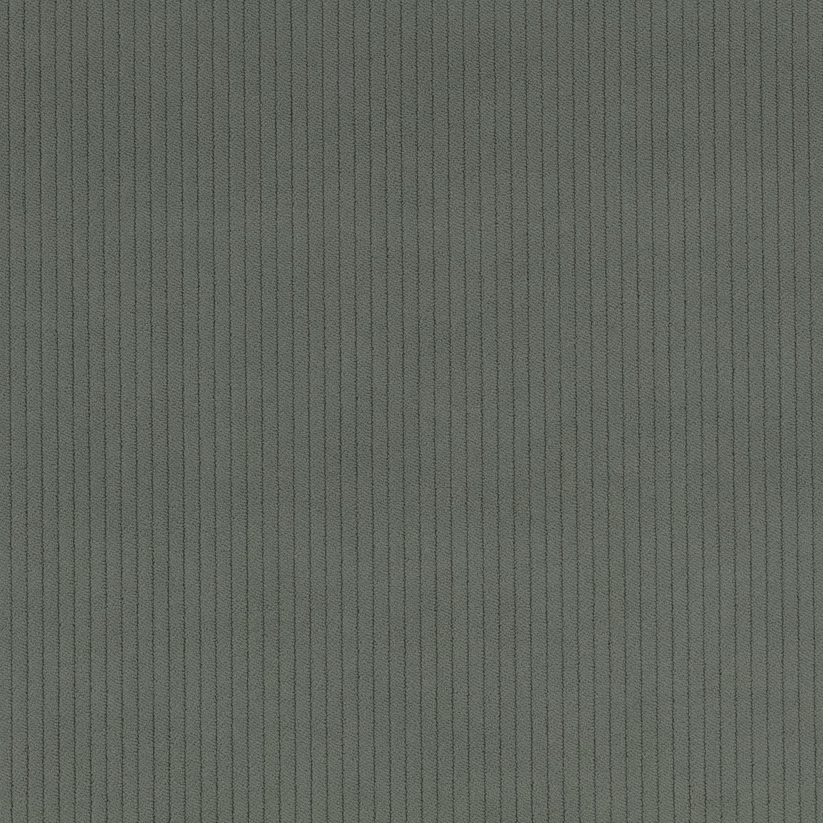 Muted grey-green vertical cord with fine ribs and a softly shaded surface