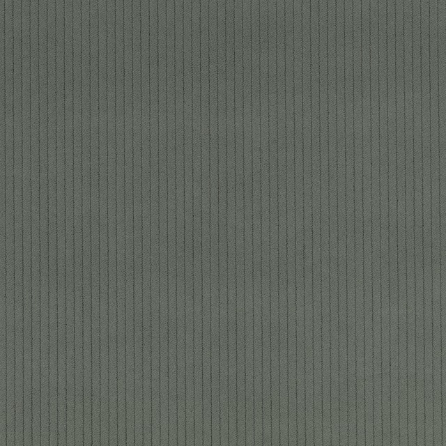 Muted grey-green vertical cord with fine ribs and a softly shaded surface