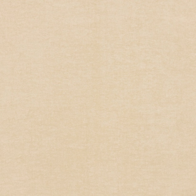 Pale warm beige canvas weave with softly mottled, low-contrast surface texture