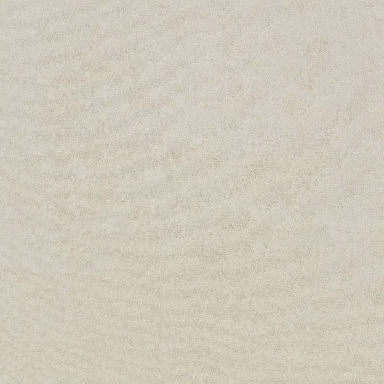 Pale ivory-beige fabric with a softly cloudy, finely textured surface